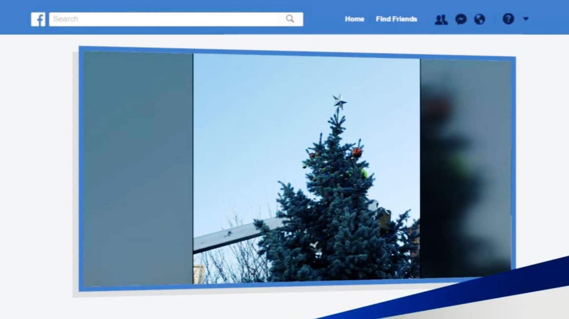 (Photo: Kelso's Living Christmas Tree)
